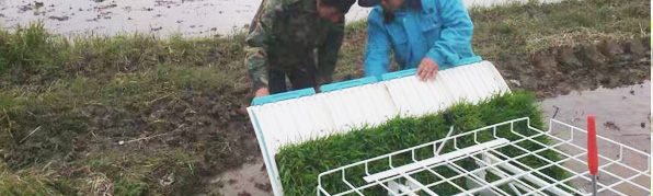 強大的產(chǎn)品質(zhì)量 包您滿意